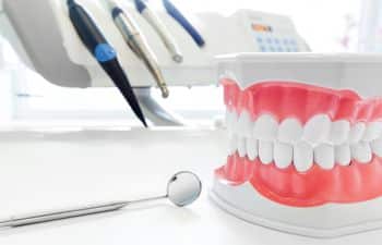 Model of Practice Teeth with Mirror Marietta GA